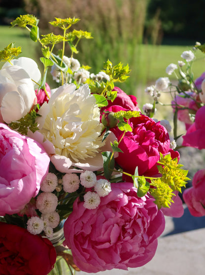 Peony Bloom Bucket (25 Stems)