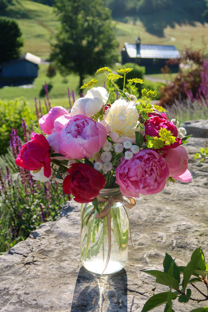 Peony Bloom Bucket (50 Stems)