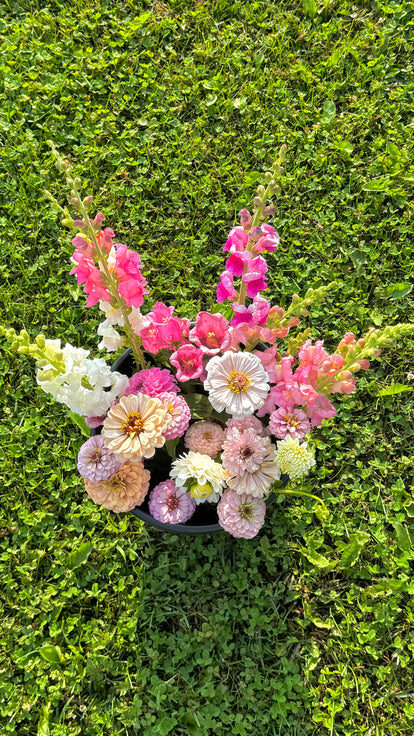 Mixed Blooms Bucket (25 Stems)