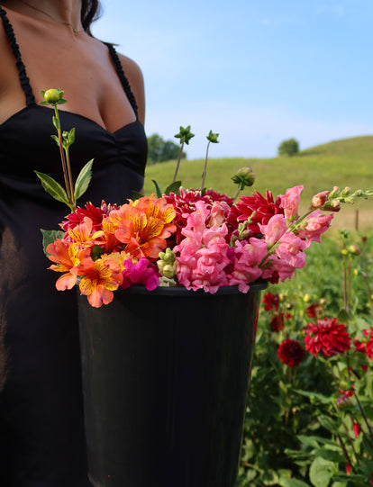 Mixed Blooms Bucket (25 Stems)